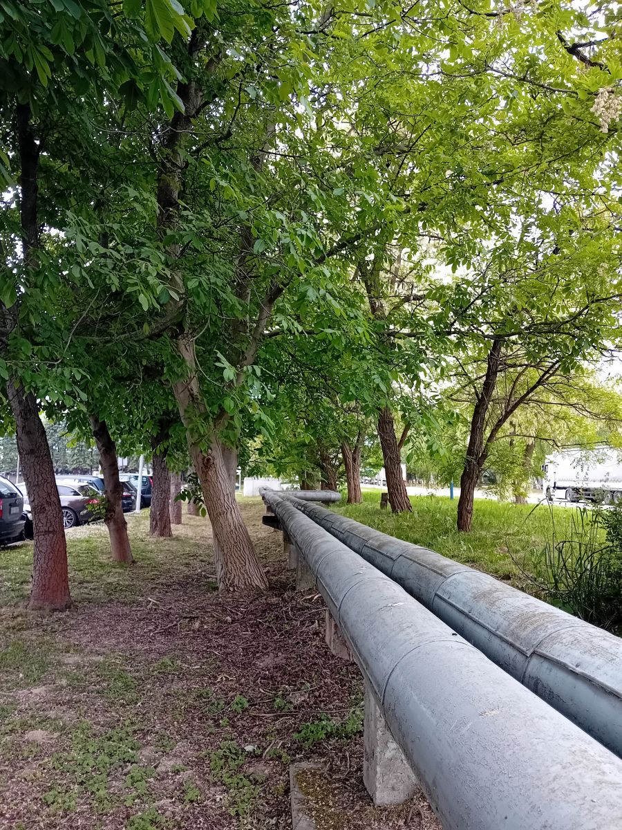 zdjęcie z przebudowy nadziemnej sieci ciepłowniczej przy ulicy Przemysłowej, fot. Miejskie Przedsiębiorstwo Energetyki Cieplnej